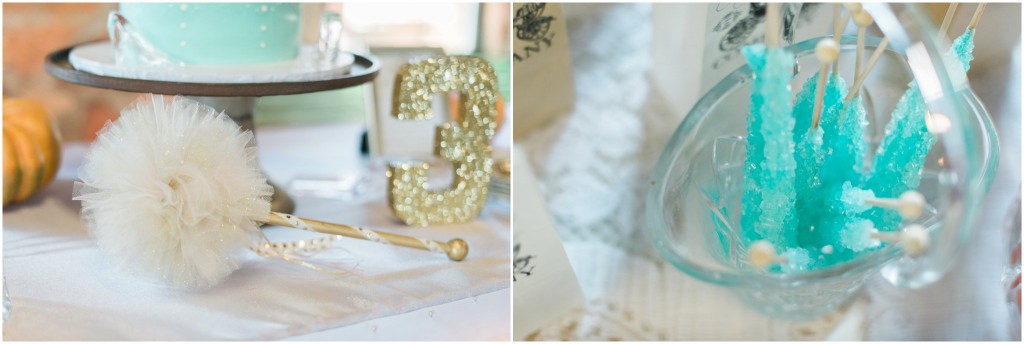 farm-girl-boutique-cinderella-birthday-aubrey-lisa-photography_0037