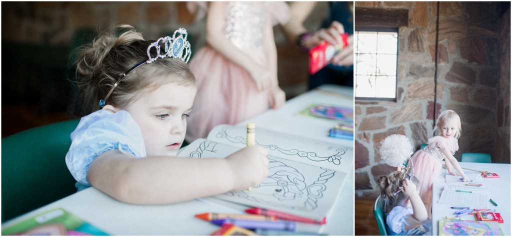 farm-girl-boutique-cinderella-birthday-aubrey-lisa-photography_0056