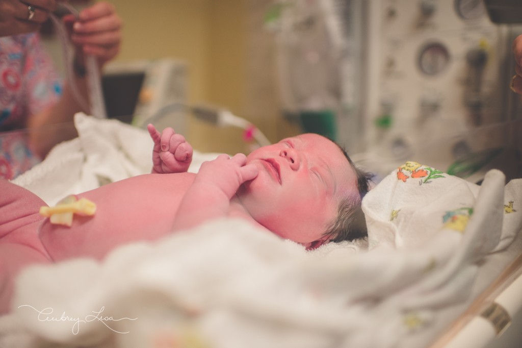 Sawyer-Scout-Birth-web-79