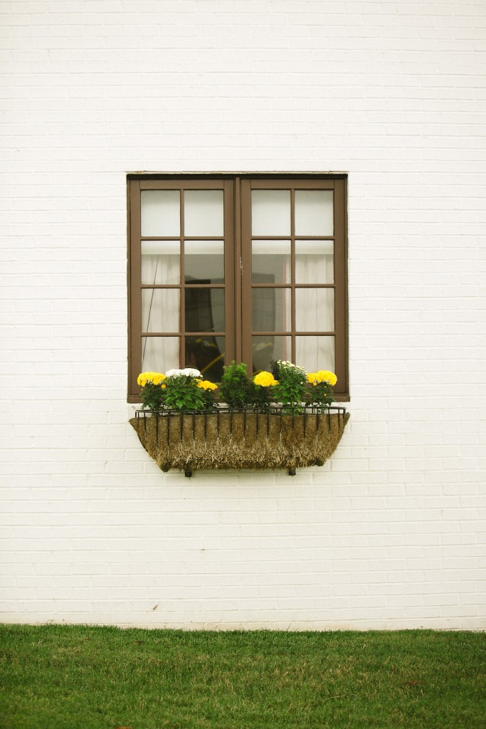 HappilySituated2015_Pursuit-14