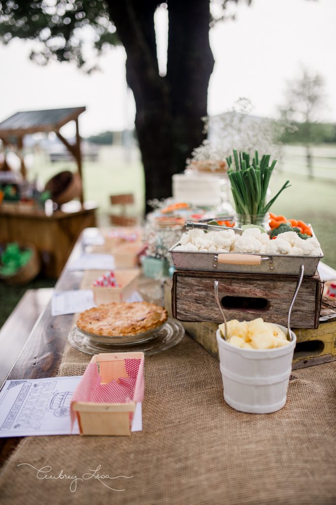 scouts-1-birthday-web-30