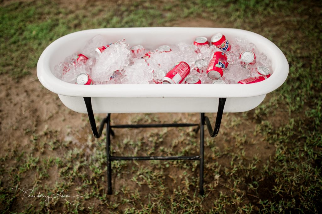 Scout's Farmer's Market Birthday Party