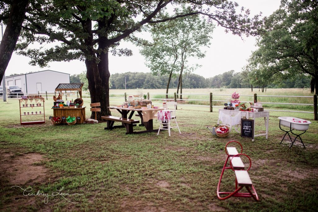 scouts-1-birthday-web-48