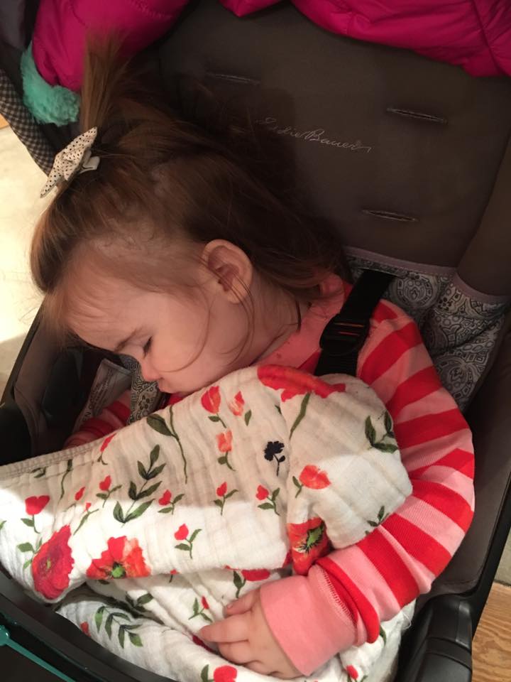 15420994_10153973465795685_6691084366526493156_n